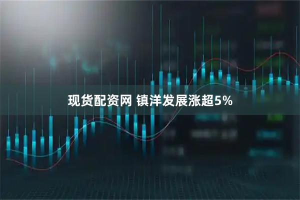 现货配资网 镇洋发展涨超5%