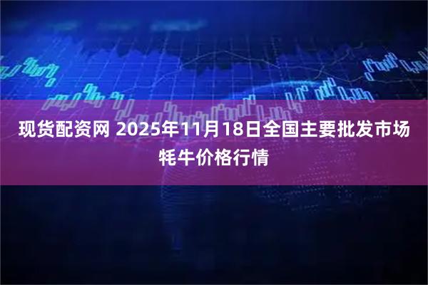 现货配资网 2025年11月18日全国主要批发市场牦牛价格行情